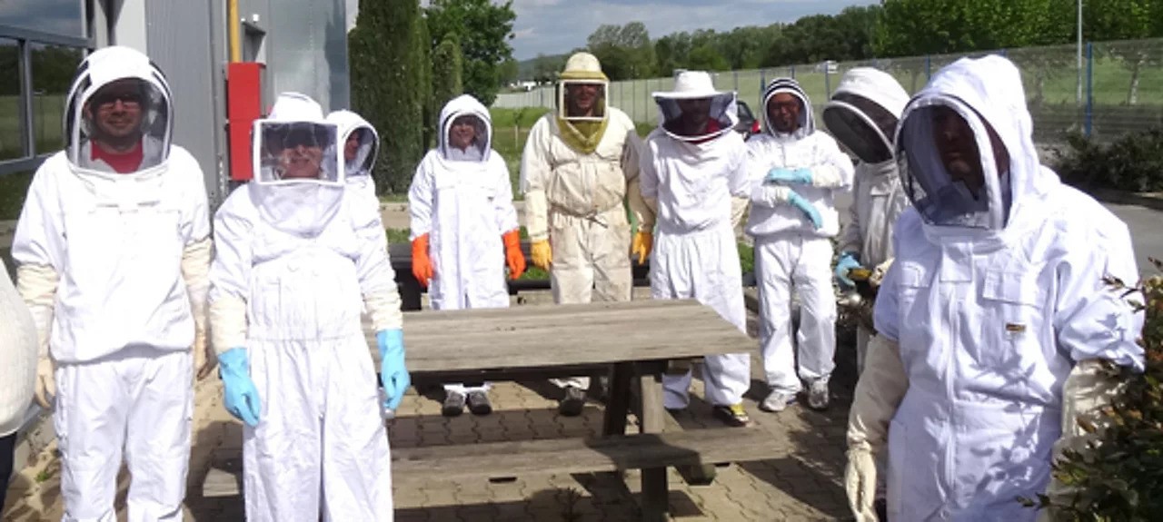 група пчелари