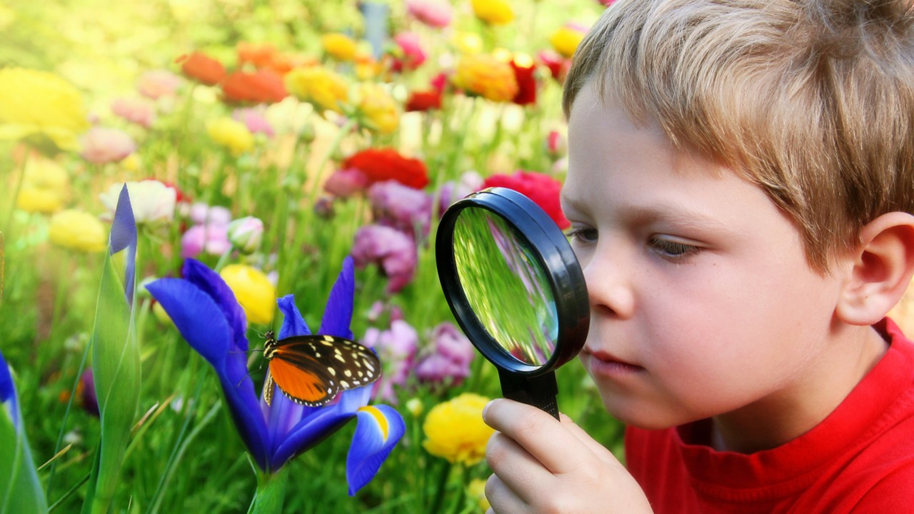 кадър на дете, което наблюдава пеперуда през лупа